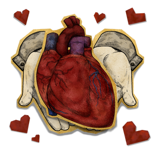 Heart